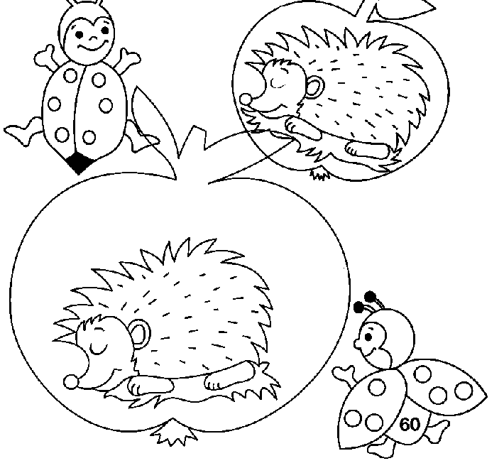 Igel ausmalbilder