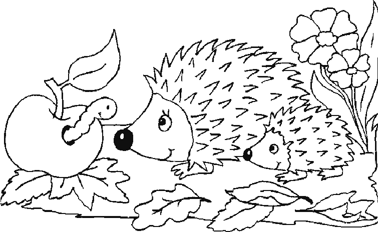 Igel ausmalbilder