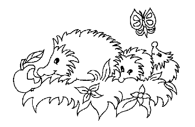 Igel ausmalbilder