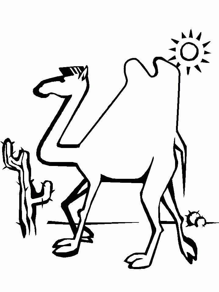 Kamel ausmalbilder