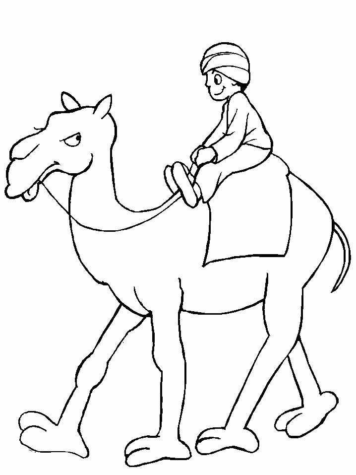 Kamel ausmalbilder