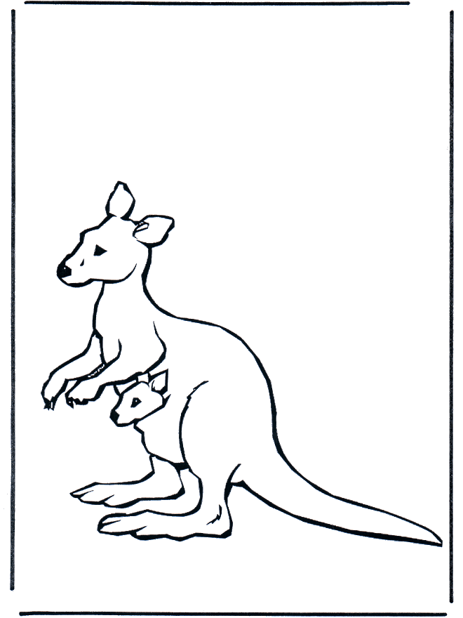 Kanguru ausmalbilder