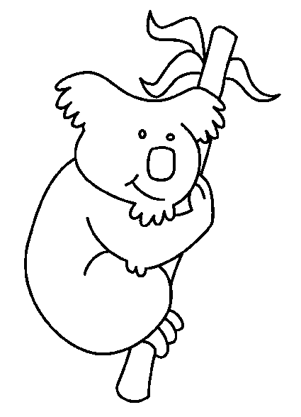 Koala