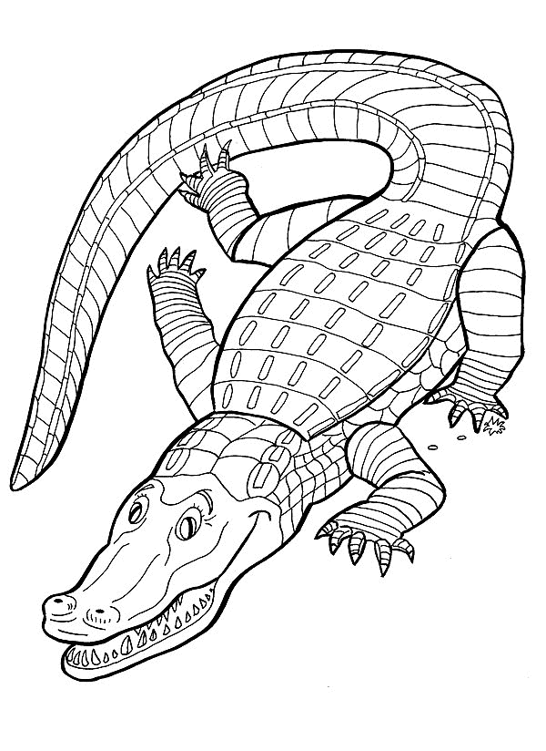 Krokodile ausmalbilder