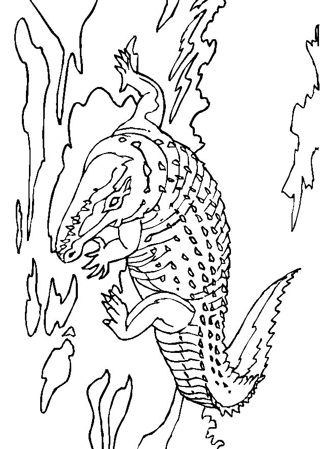 Krokodile