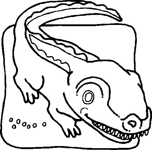 Krokodile