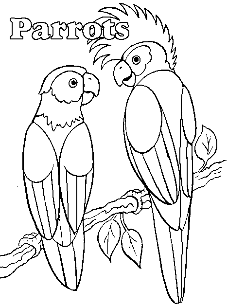 Papagei ausmalbilder