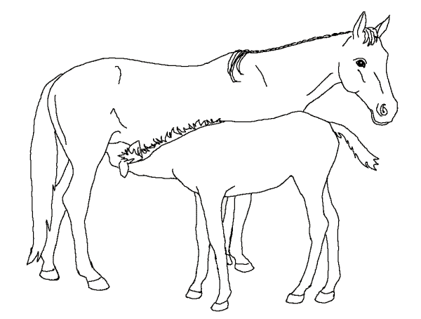 Pferde ausmalbilder