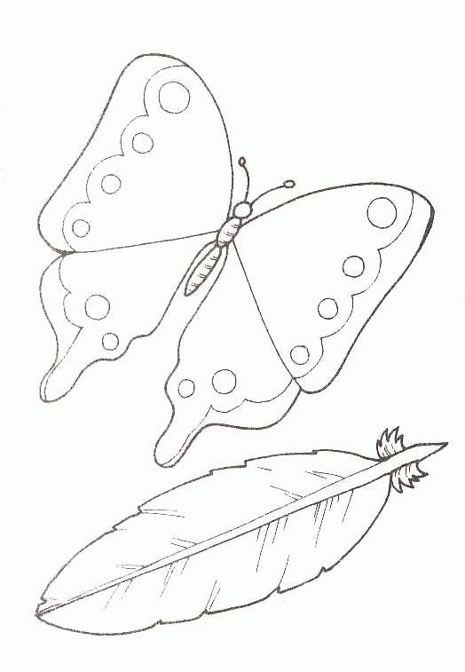 Schmetterling