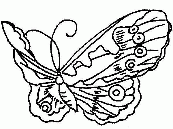 Schmetterling ausmalbilder