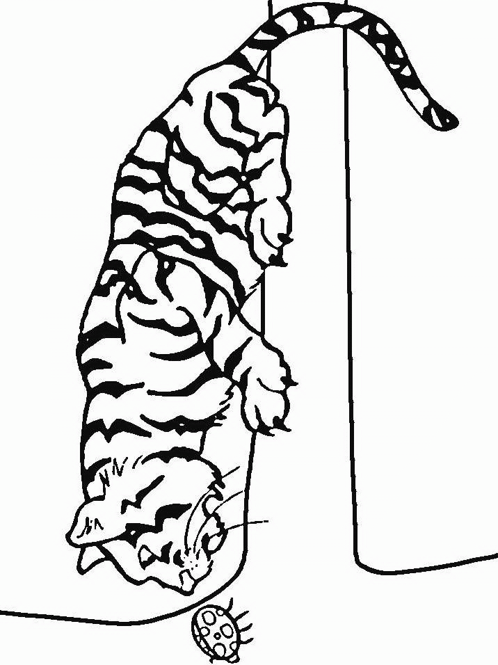 Tiger ausmalbilder