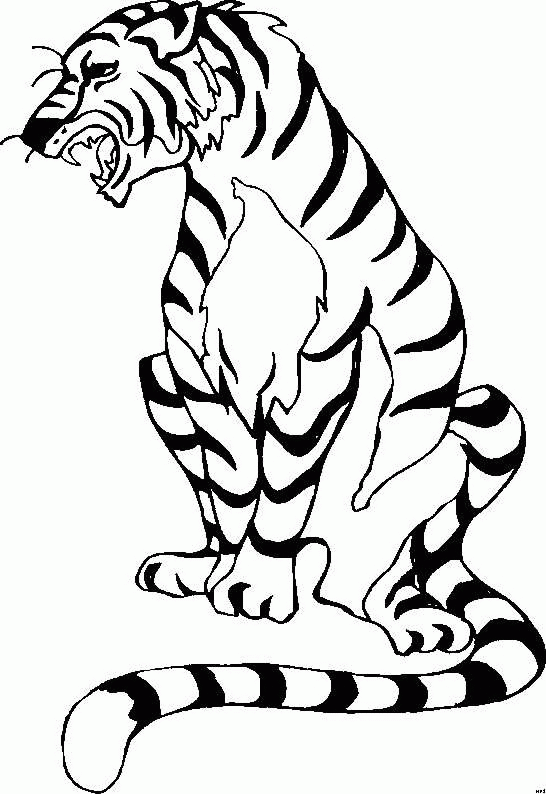 Tiger ausmalbilder