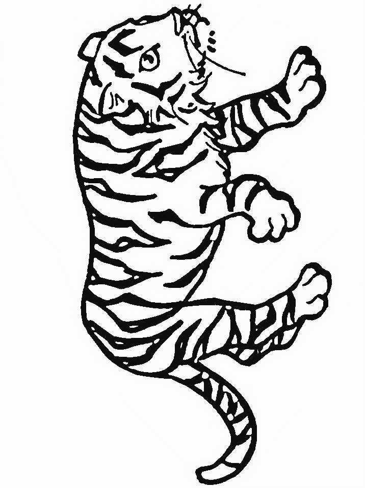 Tiger ausmalbilder