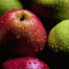 Apfel