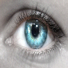 Augen