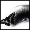 Augen
