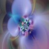 Blumen avatare