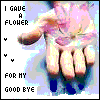 Blumen avatare