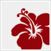 Blumen avatare
