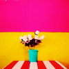 Blumen avatare