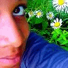 Blumen avatare