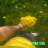 Blumen avatare