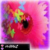 Blumen