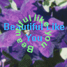 Blumen avatare
