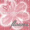 Blumen avatare