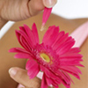 Blumen avatare