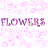 Blumen avatare