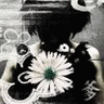 Blumen avatare