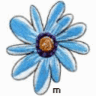 Blumen avatare