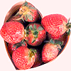 Erdbeere avatare