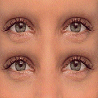 Gesicht avatare