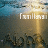 Hawaii avatare