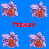 Hawaii avatare