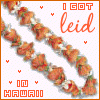 Hawaii avatare