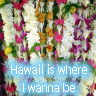 Hawaii avatare