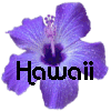 Hawaii avatare