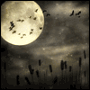 Mond avatare
