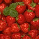Obst avatare