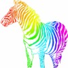 Regenbogen avatare