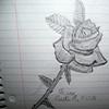 Rosen avatare