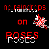 Rosen avatare