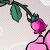 Rosen avatare
