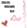 Rosen avatare