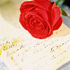 Rosen avatare