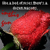 Rosen avatare
