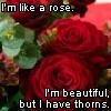 Rosen avatare